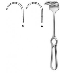 Korte