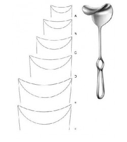 Fritsch